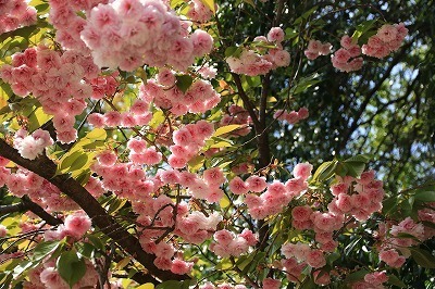 blog_1416.jpg
