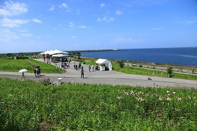 blog_1477.jpg