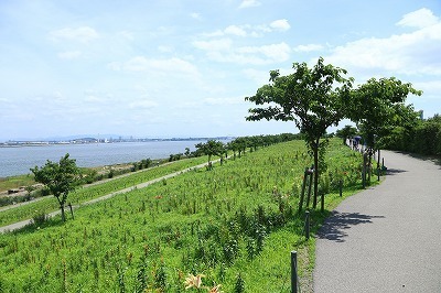 blog_1478.jpg