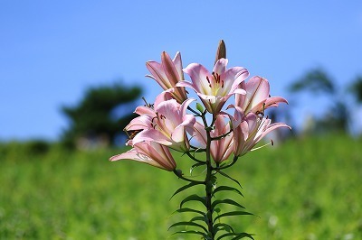 blog_1482.jpg