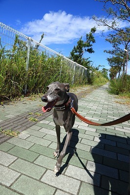 blog_1516.jpg