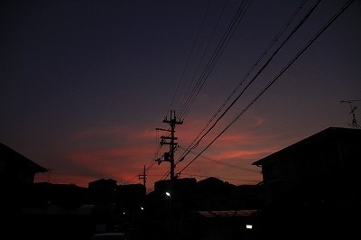 blog_835.jpg